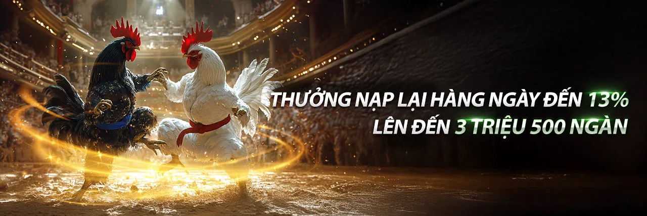 Gà chọi dũng mãnh trên sàn đấu ev888 code